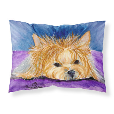 Microfiber