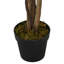 Faux Ficus Tree in Pot-1176075200