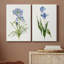 «Lived Botanical I», ensemble de 2 impressions sur toile tendue-467924975