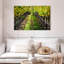 Yarlin Napa Valley Vineyard-111858768