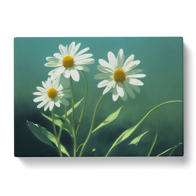 Cosmopolitan Daisy Flowers - Wrapped Canvas, 35cm H x 50cm W x 3cm D
