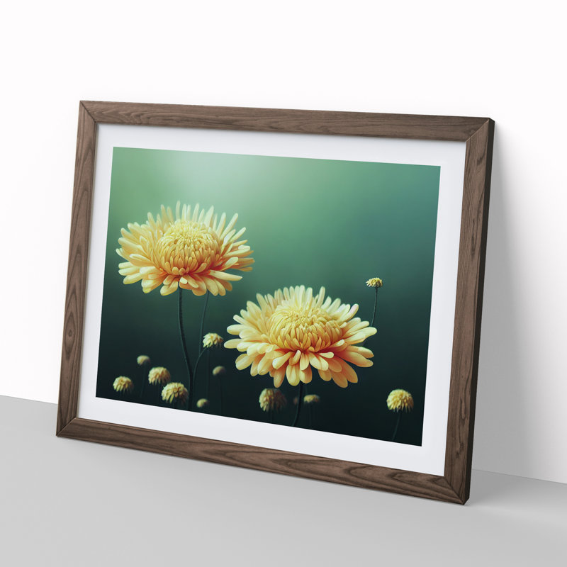 Intriguing Chrysanthemum Flowers - Framed Print, 34cm H x 46cm W x 2cm D, Walnut