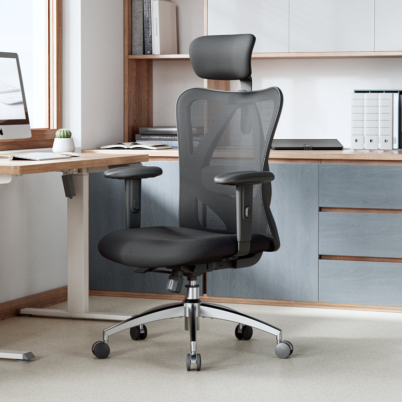  M18 Ergonomics Office Chair Computer Chair Desk Chair,Black