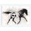 «Appaloosa I» par Ethan Harper, reproduction sur toile-28957406-74562338-74562343