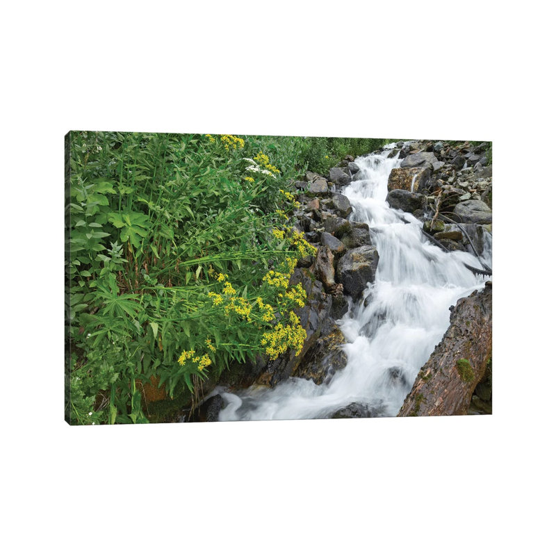 Creek Near Silverton, Colorado by Tim Fitzharris - Wrapped Canvas Print, 20.32 cm H x 30.48 cm W
