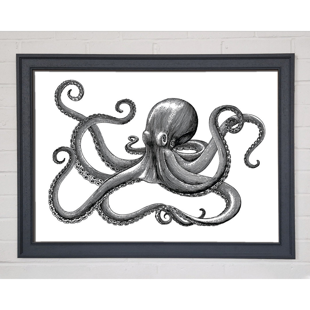 Oktopus Illustration Gerahmter Druck