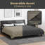 Duvet-1485358025