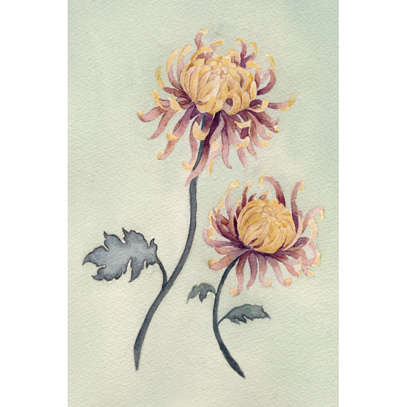 Chrysanthemum Beauty II - Painting, 91 cm H x 61 cm W, Wrapped Canvas