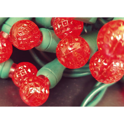 9.5'' LED Globe String Lights