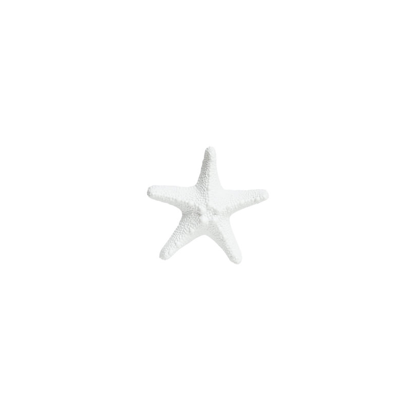 Medium Starfish, White
