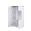 Tanelle Standard Dresser / Chest