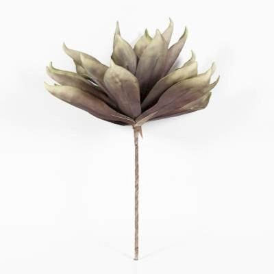 Filtre de vase tropical plante Braeden