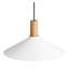 Emblem 1 - Light Pendant-74747930-74747933-94655711