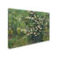 « roses », impression sur toile tendue-480797799