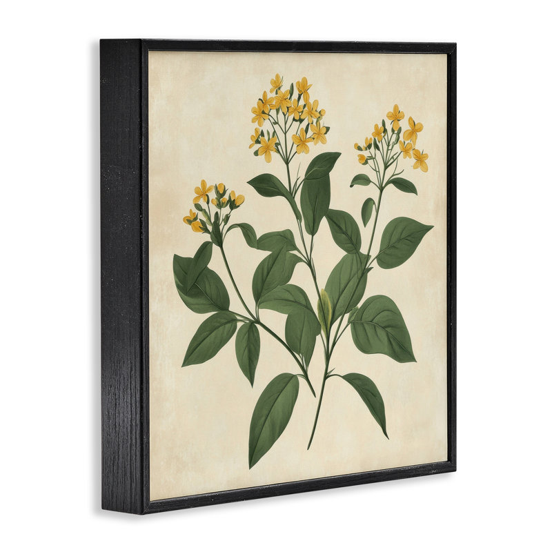 Illustration de botanique jaune encadrée, art numérique par Petal Prints Design, H 12 po x l 12 po