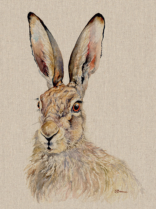 Jane Bannon - Wrapped Canvas Print, 80cm H x 60cm W