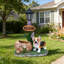 Jardinière Corgi Dog