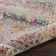Lowndes Oriental Indoor Rug