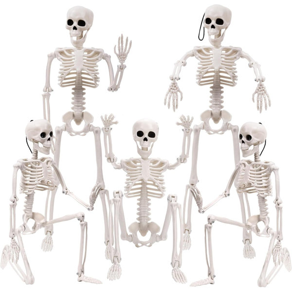 Skeleton Action Figure Joint Movable Anatomical Model Skeleton