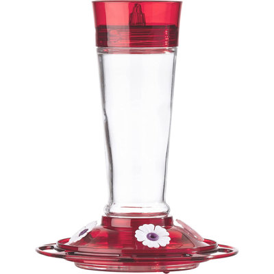 Lashonta Hanging Hummingbird Feeder
