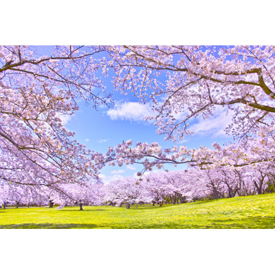 Caelum Cherry Tree in Bloom 1 Piece Wrapped Canvas Wall Art