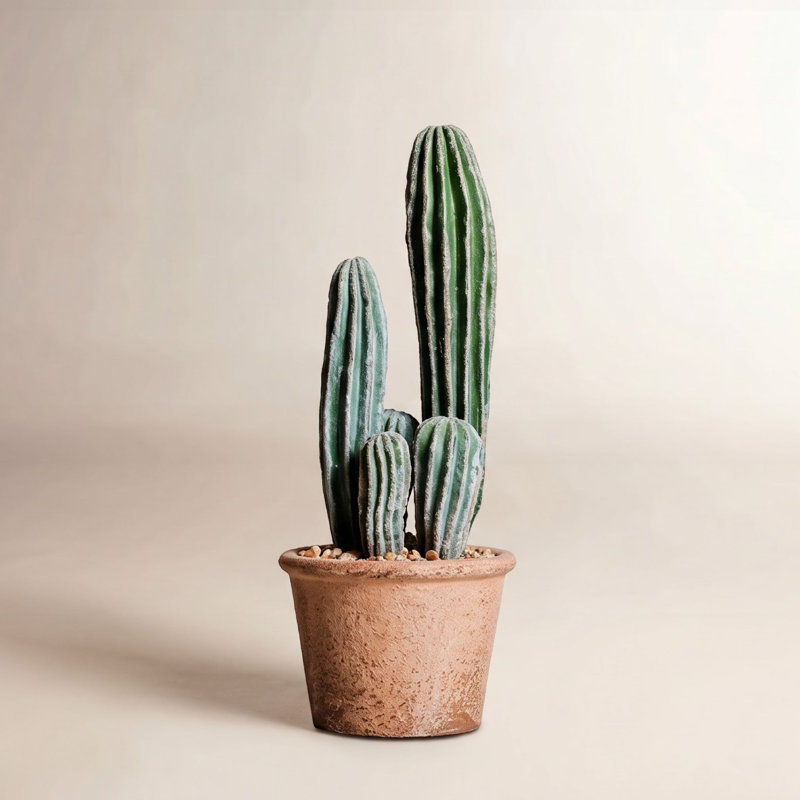 Cactus en pot, H 10,4 po x l 4,3 po x P 2,9 po