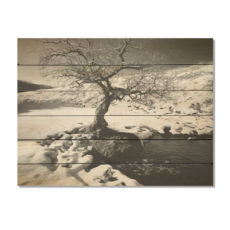 Arbre de solitude noir et blanc en hiver - Paysage d'hiver en bois sur bois de pin naturel, H 10 po x l 20 po