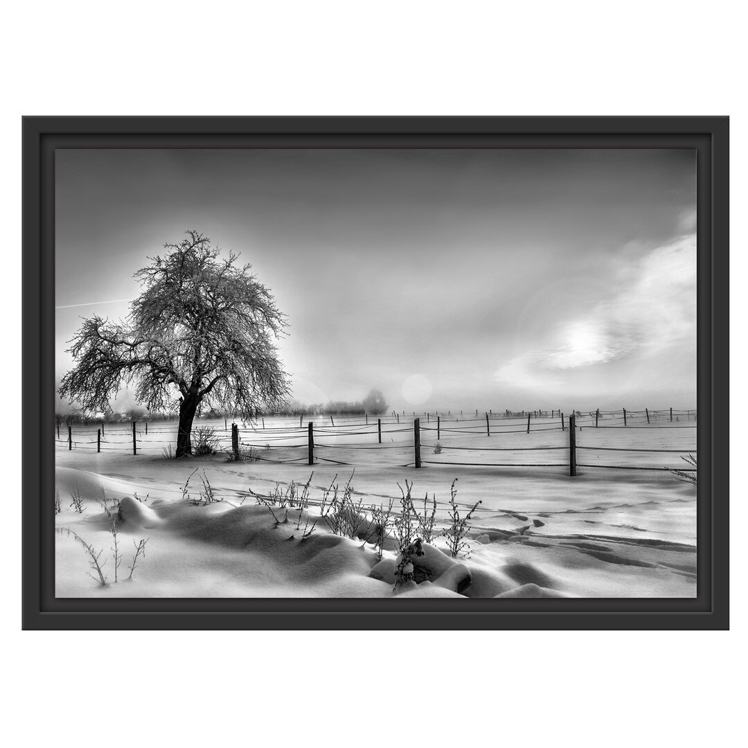 Gerahmtes Wandbild Baum in Winterlandschaft