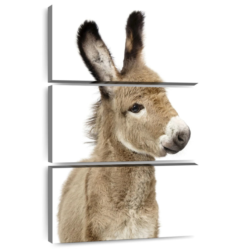 Baby Donkey, 45" H x 28" W