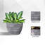 Pot à fleurs Nil-1298637456