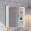 Aaleeyah Wall Mounted Required Bathroom Cabinet
