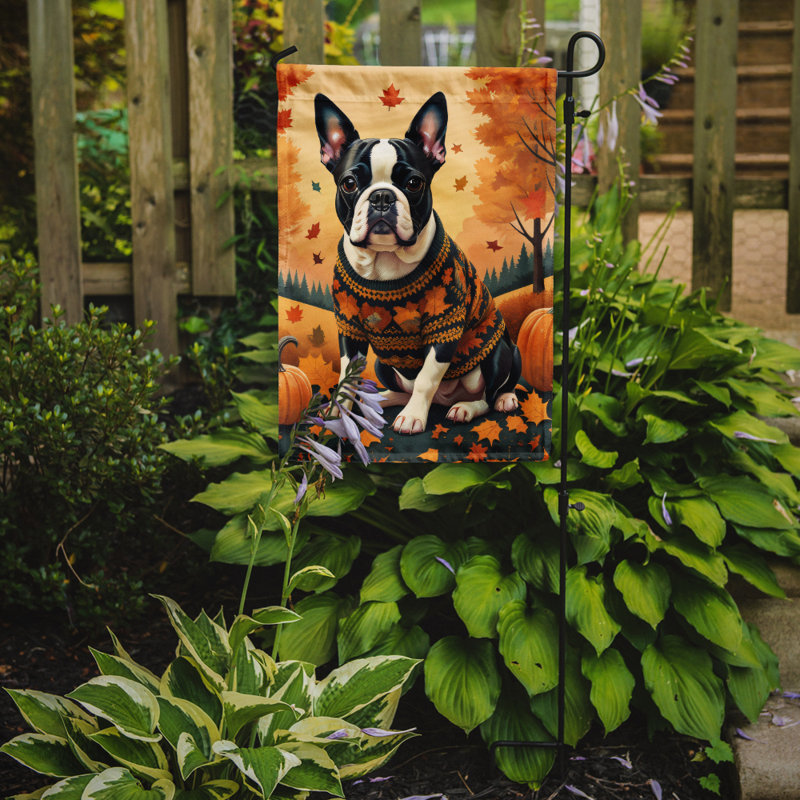 Drapeau de Boston Boston Terrier