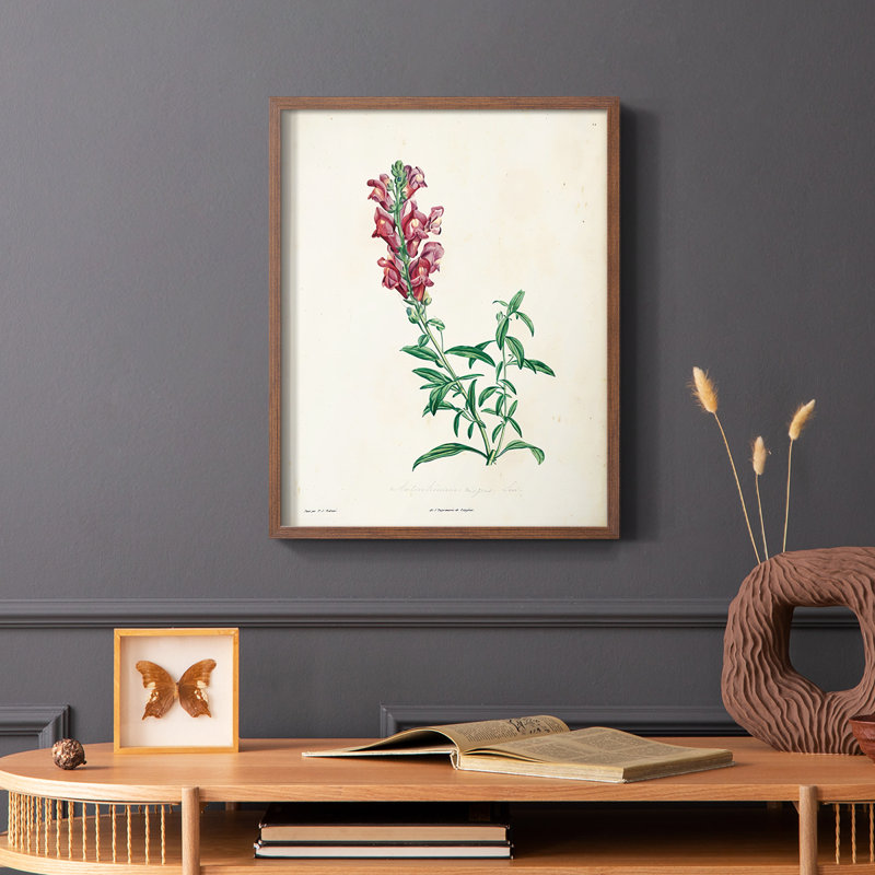 «Traditional Botanical I», reproduction encadrée - bois massif, Brun, H 14 po x l 11 po