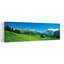 Grindelwald, Suisse, art abstrait contemporain de paysage floral-389590892