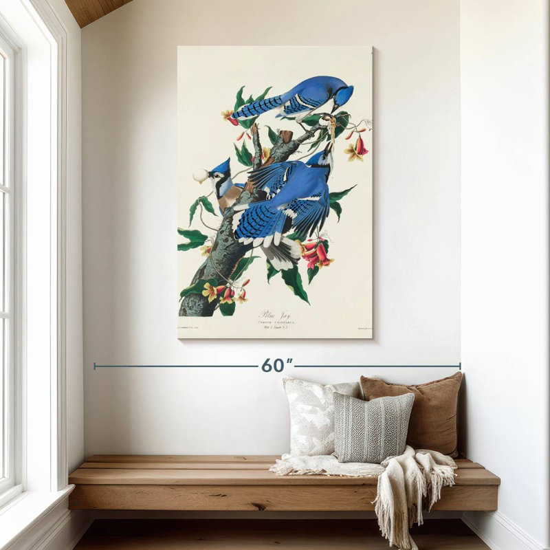 Brampt Blue Jay, 48" H x 32" W
