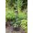 Mckayla 61 in. H x 13 in. W Iron Obelisk Trellis-1858884803