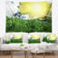 Paysage pré ensoleillé avec tapisserie d'herbe verte-28487900
