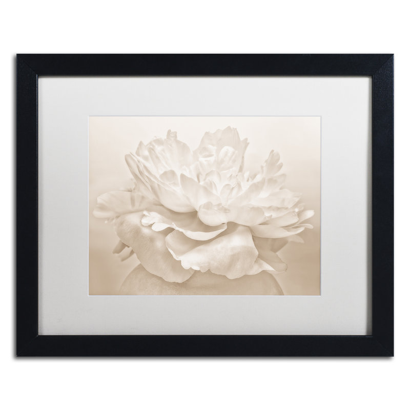 «White Peony», reproduction de photo sur toile encadrée, H 16 po x l 20 po x P 0,5 po, Noir