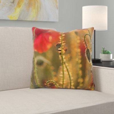 Coussin de jeté