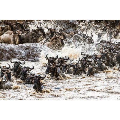 Wildebeest In Masai Mara by Skynesher - Wrapped Canvas Print