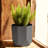 Tuxton Geometric Plastic Indoor/Outdoor Planter-98807276-98807277