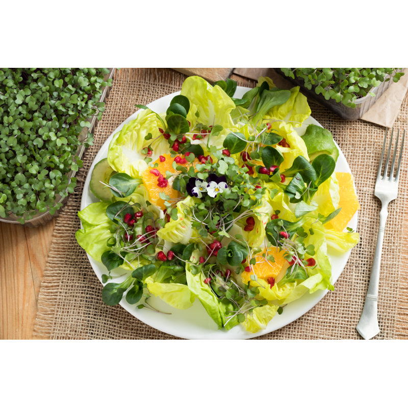 Vegetable Salad - Wrapped Canvas Print, 20cm H x 30cm W x 3.8cm D