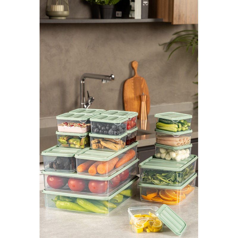Mint Color Plastic Storage Box Set, 2 Large 11 x 11.8 x 2.8 in (1650 ml), 2 Medium 9 x 5.9 x 2.8 in (1750 ml), 12 Small 3.5 x 4.1 x 2.2 in (350 ml), 2 Extra Large 9 x 11.6 x 2.6 in (3500 ml), 100% Dishwasher-Safe, Ideal for Organizing Home & Office