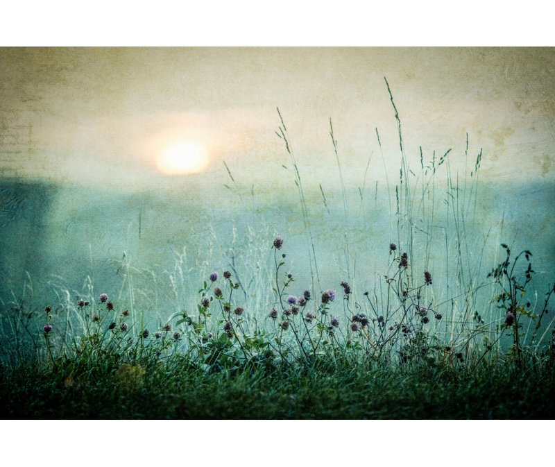 Wrapped Canvas Print, 81.28 cm H x 121.92 cm W