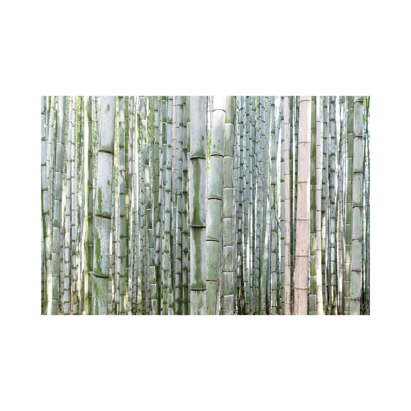 Unlimited Bamboos III 1 Piece Wrapped Canvas Wall Art, 20.32 cm H x 30.48 cm W