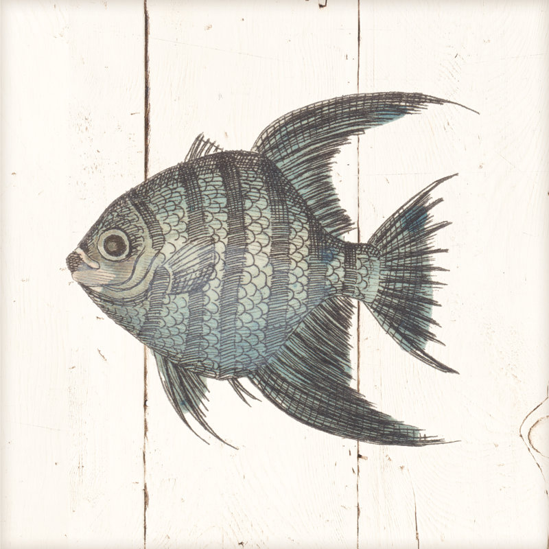 Fish Sketches II Shiplap by Wild Apple Portfolio - Wrapped Canvas Print, 30cm H x 30cm W x 3.8cm D