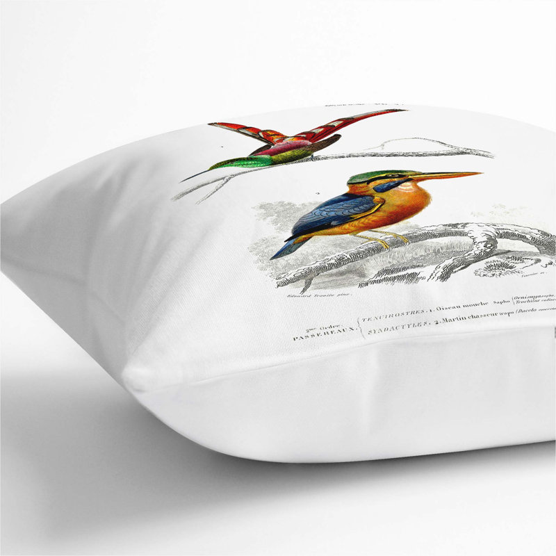 Kingfisher and Hummingbird by Charles D' Orbigny Cushion with Filling, White, 55cm H x 55cm W x 20cm D
