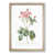 Oak Framed selected