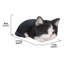 Statue de chaton tigré endormi-209440243