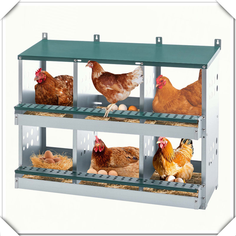 6-Compartment Chicken Nesting Box Roll Away Egg Laying Box